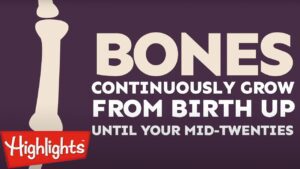 Did you know? #2 | 2020 | Laugh and Learn | Kids Videos | Highlights Kids - Kingdom Kids Zone, Little Learners - Highlights Kids