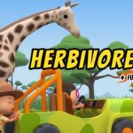 Witness21 Editor  2020 08 27