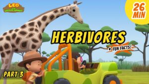 Witness21 Editor  2020 08 27