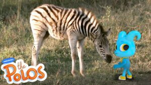 That's the Zebra | MarcoPolo World School | Learn At Home - Kingdom Kids Zone, Little Learners - The Polos and MarcoPolo Learning