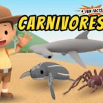 Witness21 Editor  2020 09 24