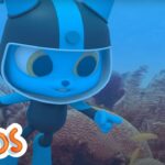 Coral Reef | MarcoPolo World School | Learn At Home - Kingdom Kids Zone, Little Learners - The Polos and MarcoPolo Learning