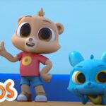 Perfect Fit | MarcoPolo World School | Learn At Home - Kingdom Kids Zone, Little Learners - The Polos and MarcoPolo Learning