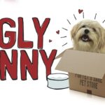 Witness21 Editor  2020 09 15