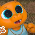 Tree Frog Finders | MarcoPolo World School | Learn At Home - Kingdom Kids Zone, Little Learners - The Polos and MarcoPolo Learning