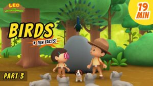 Witness21 Editor  2020 09 04