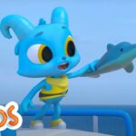 Echolocation | MarcoPolo World School | Learn At Home - Kingdom Kids Zone, Little Learners - The Polos and MarcoPolo Learning