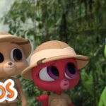 Rain Forest Adventures | MarcoPolo World School | Learn At Home - Kingdom Kids Zone, Little Learners - The Polos and MarcoPolo Learning