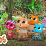 No Place Like Home | Adventure Learning | MarcoPolo World School | Learn At Home - Kingdom Kids Zone, Little Learners - The Polos and MarcoPolo Learning