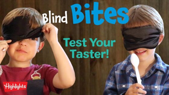 Blind Bites Episode #1 l Test Your Taster! l Highlights Kids - Kingdom Kids Zone, Little Learners - Highlights Kids