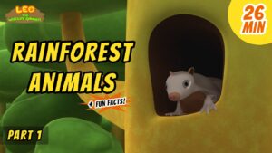 Witness21 Editor  2020 10 23