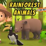 Witness21 Editor  2020 10 30