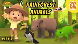 Witness21 Editor  2020 10 30