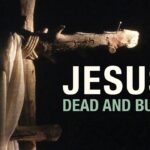 Witness21  2020 11 16