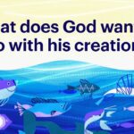 Witness21 Editor  2020 11 24