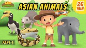 Witness21 Editor  2020 11 05