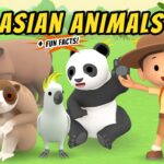 Witness21 Editor  2020 11 12