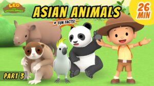 Witness21 Editor  2020 11 12