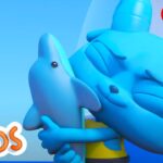 The Deep | Adventure Learning | MarcoPolo World School | Learn At Home - Kingdom Kids Zone, Little Learners - The Polos and MarcoPolo Learning