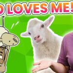 Witness21  2020 11 13