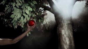 His Hands Bled | Short Film - Movies & TV, Short Movies - Vision Video