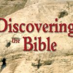 Witness21 Editor  2020 11 09