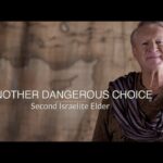 Witness21 Editor  2020 11 30