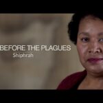 Witness21 Editor  2020 11 30