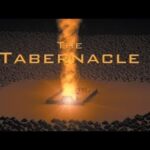 Witness21 Editor  2020 11 16