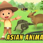 Witness21 Editor  2020 11 26