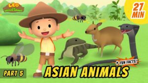 Witness21 Editor  2020 11 26