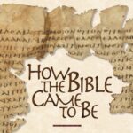 Witness21  2020 11 09