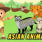 Witness21 Editor  2020 11 19