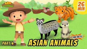 Witness21 Editor  2020 11 19