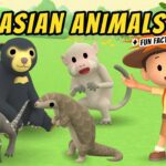 Witness21 Editor  2020 11 07