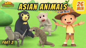 Witness21 Editor  2020 11 07