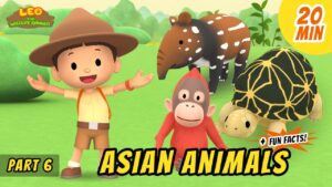 Witness21 Editor  2020 12 03