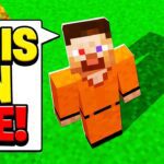 TEST STEVE IS POSSESSED! (EP32 Scary Survival 2) - Gameplay, Kingdom Kids Zone, Minecraft - EYstreem