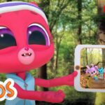 The Disappearing Log Trick | Adventure Learning | MarcoPolo World School | Learn At Home - Kingdom Kids Zone, Little Learners - The Polos and MarcoPolo Learning