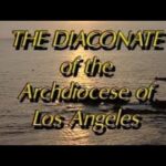 Witness21  2020 12 01