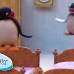Pingu & Pinga's Sleepover Fun! | Pingu Official | Cartoons for Kids - Kids (0-4), Kingdom Kids Zone - Pingu - Official Channel