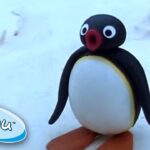Pingu's Big Trip | Pingu Official | Cartoons for Kids - Kids (0-5), Kingdom Kids Zone - Pingu - Official Channel