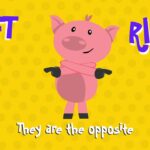 Witness21 Editor  2021 01 29