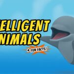 Witness21 Editor  2021 01 29