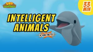 Witness21 Editor  2021 01 29