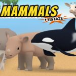 Witness21 Editor  2021 01 15