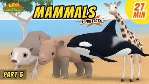 Witness21 Editor  2021 01 15