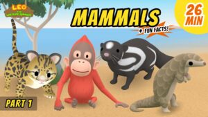 Witness21 Editor  2021 01 01