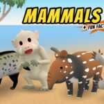 Witness21 Editor  2021 01 02