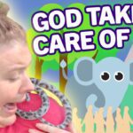 Witness21  2021 01 29